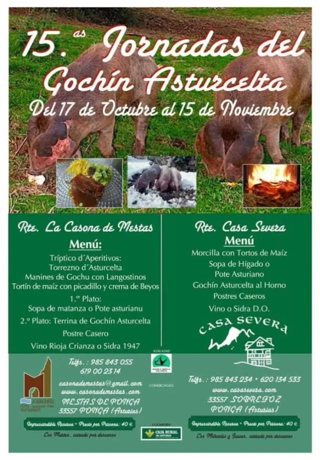XV Jornadas del Gochín Asturcelta. Ponga
