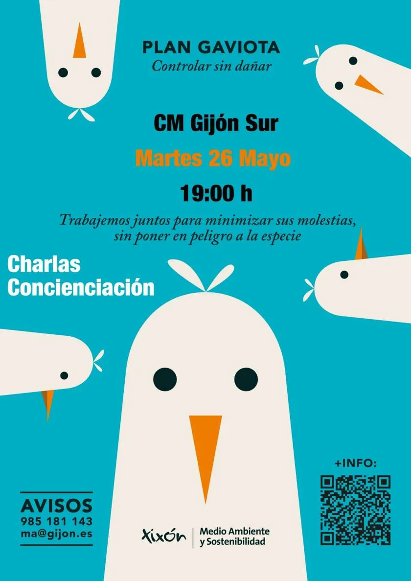 Informative talk: "What is happening with the seagulls in Gijón? Getting to know them to coexist"