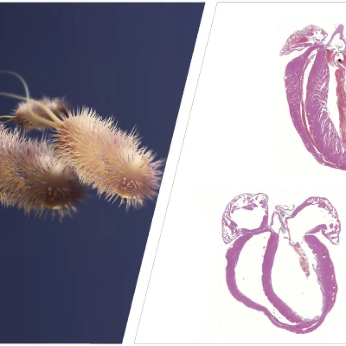 Ni el ADN es tan bueno, ni las bacterias tan malas