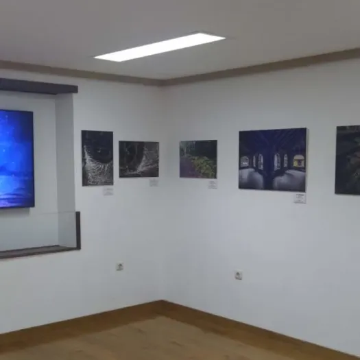 V Maratón fotográfico “Grandas en mi objetivo”
