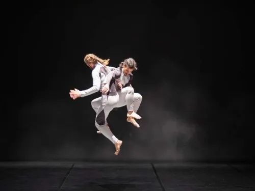 Dinamo Danza. "Elektrical Body"