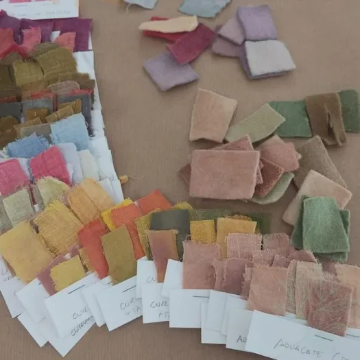 Bitácora del color. Iniciación al teñido textil natural