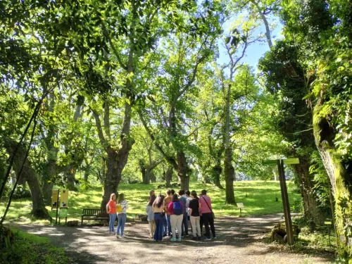 Días del profesorado en el Botánico: Educar entre hojas
