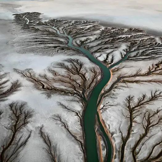 Edward Burtynsky. Water