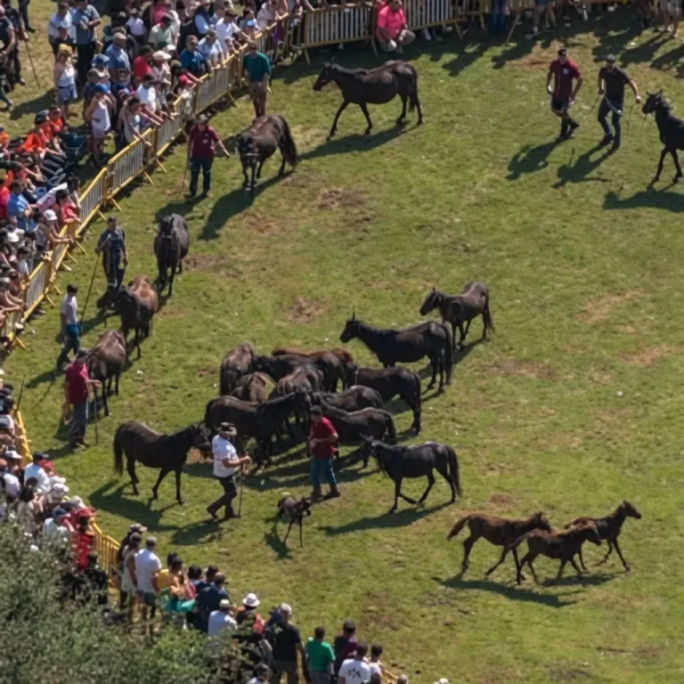 La Fiesta del Asturcón 2026