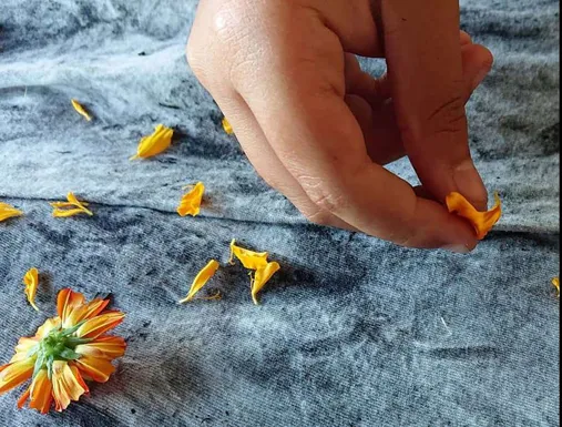 Adult Workshop: Botanical Printing