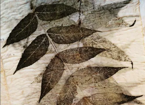 Family Workshop: Botanical Printing