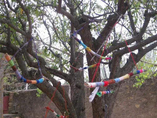 Arte and Disability: The Voice of the Trees