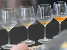 Atlantic Cider Tasting