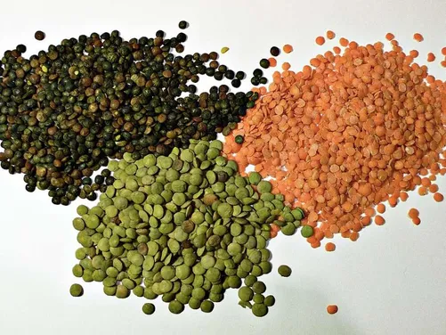 Workshop ''The natural intelligence of legumes: seeds with superpowers that move the world''