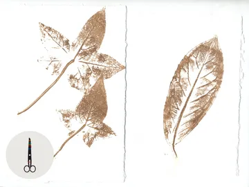 Leaves: the workshop of holding the light | Visit workshop