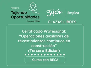 Proyecto Tejiendo Oportunidades. Certificado Profesional de Operaciones auxiliares de revestimientos continuos en construcción. Programa Éfeso