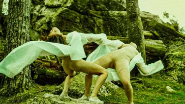 Dana Raz Dance Projects