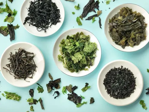 ARCU ATLÁNTICU FESTIVAL. Gastronomy. Workshops and tastings on Atlantic gastronomy: Seaweed