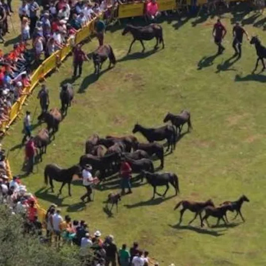 La Fiesta del Asturcón 2026