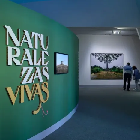 Naturalezas Vivas y XVII Bienal Española de Arquitectura y Urbanismo