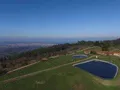 Taller ambiental: "Estampación orgánica”