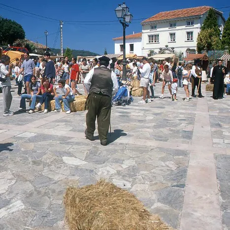 XXIV Mercáu Vaqueiru en San Martín de Luiña
