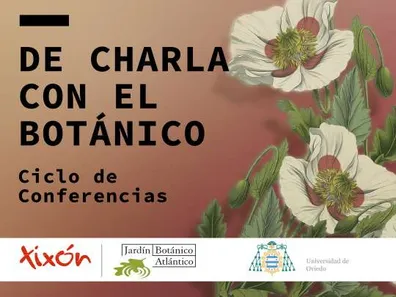 A chat with the Botánico: Urban flora to transform Gijón/Xixón