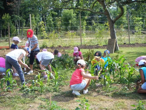 Taller familiar: ¡Manos a la huerta!