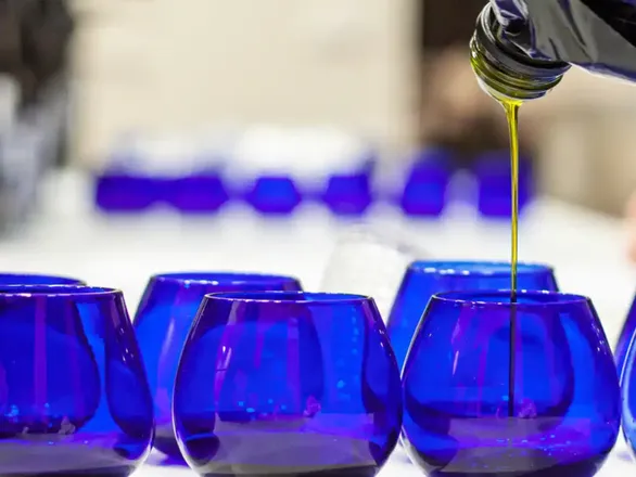 Olive oil tasting