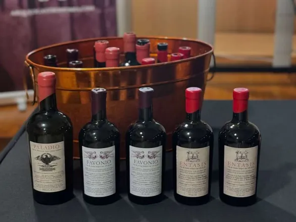 Gastronomy workshop ''In vino veritas''