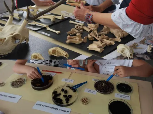 Taller ''Semillas y huesos que cuentan historias: la alimentación del pasado a partir de la arqueobiología''