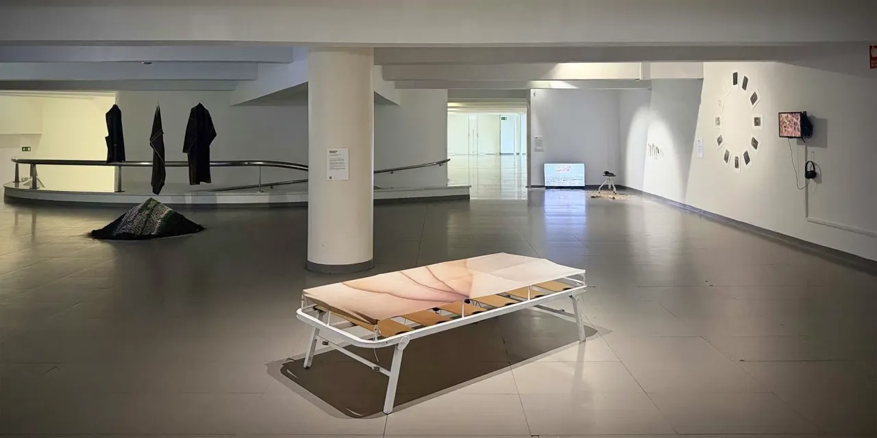 Interdependencias (exposición)