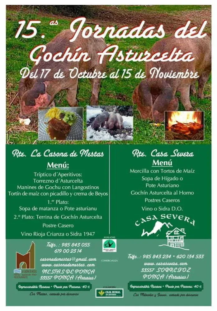 XV Jornadas del Gochín Asturcelta. Ponga