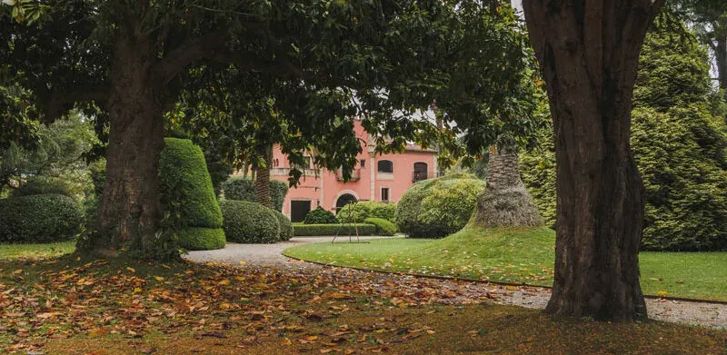 Visita guiada: «Desafío botánico»