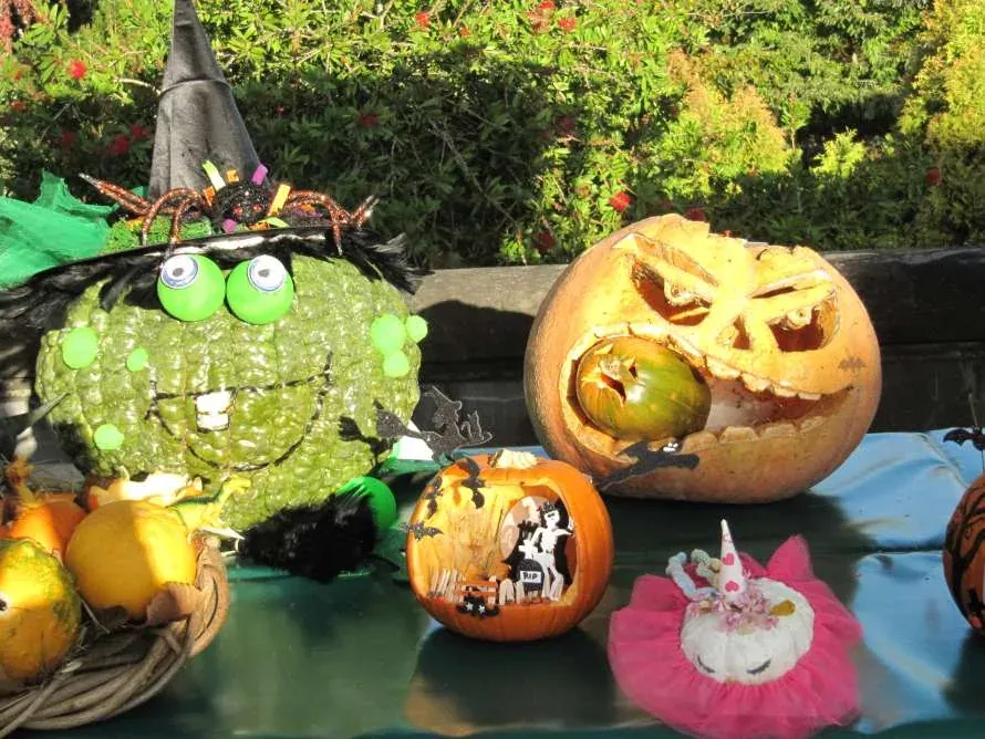 IX Concurso de calabazas decoradas
