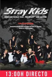 Stray Kids World Tour <RUN IT> LIVE VIEWING