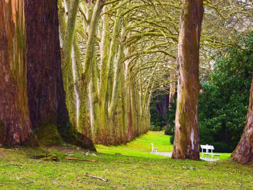 Taller para adultos: Relajación en la naturaleza