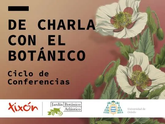 De charla con el Botánico. La crisis de los polinizadores