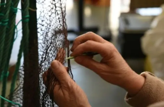 Making territory by connecting the dots by Irene Trapote