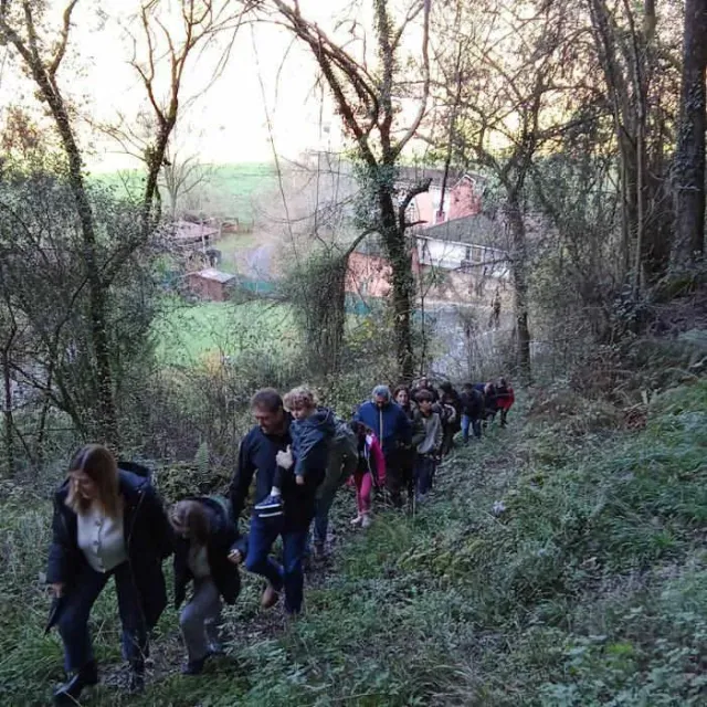 November at the Parque de la Prehistoria de Teverga