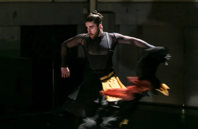 DANZA: La Revisión