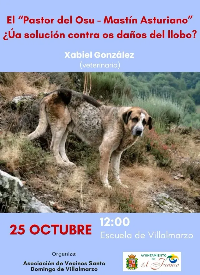 Talk about the Pastor del Osu Asturian Mastiff in Villalmarzo