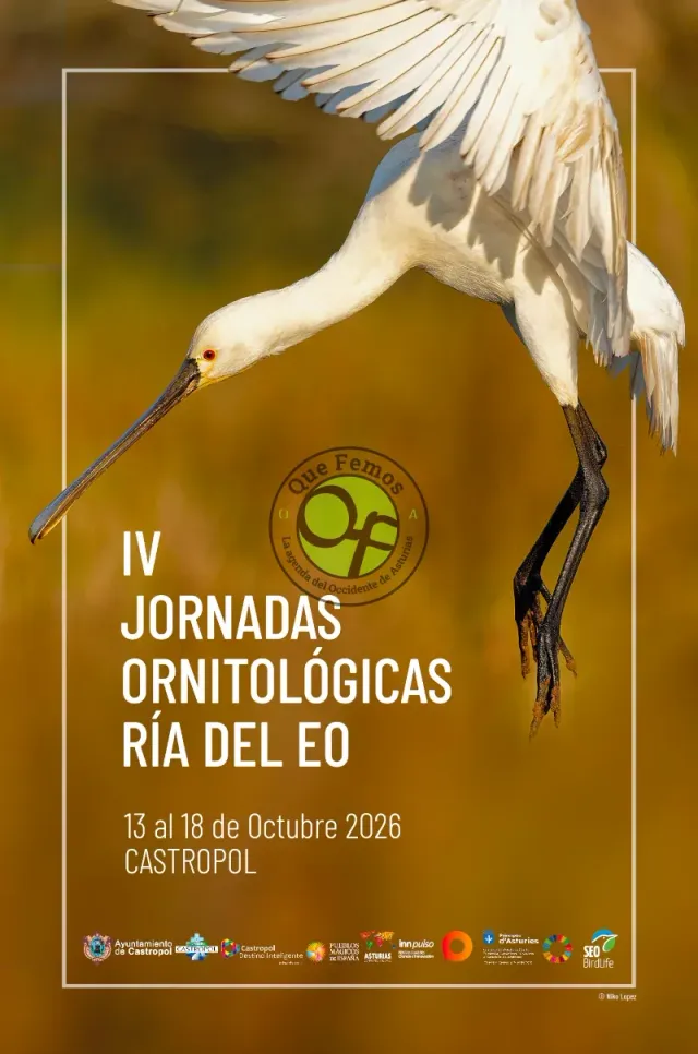 IV Jornadas Ornitológicas Ría del Eo